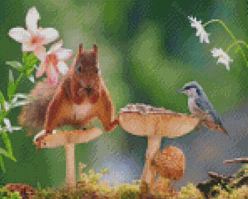 Squirrel And Bird Diamond Painting