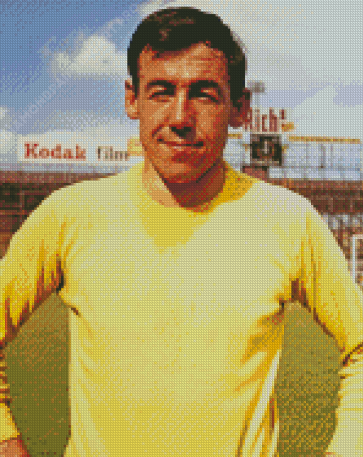 The Goalkeeper Gordon Banks Diamond Painting