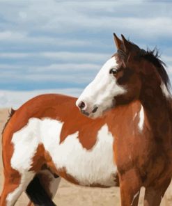 White Brown Pinto Horse Diamond Painting