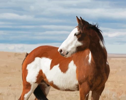 White Brown Pinto Horse Diamond Painting