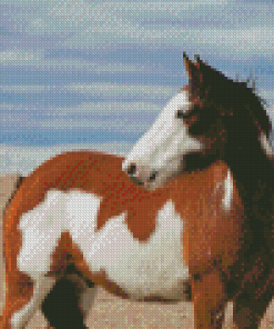 White Brown Pinto Horse Diamond Painting