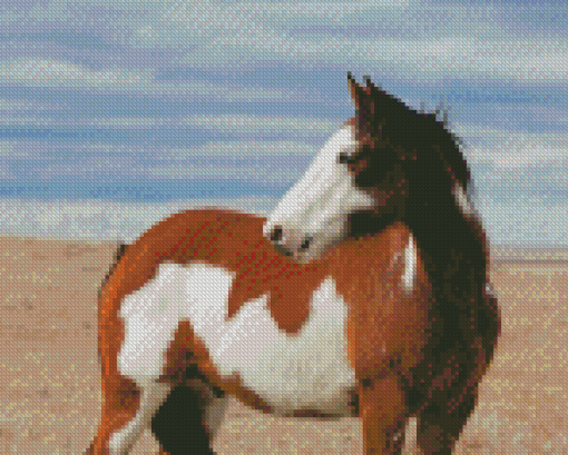 White Brown Pinto Horse Diamond Painting