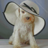 White Miniature Schnauzer With Hat Diamond Painting