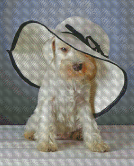 White Miniature Schnauzer With Hat Diamond Painting