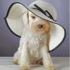 White Miniature Schnauzer With Hat Diamond Painting