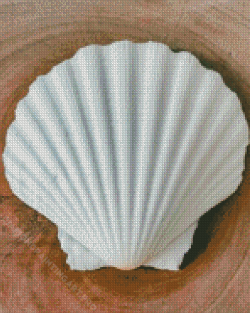 White Shell Diamond Painting