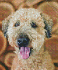 Whoodle Dog Diamond Painting