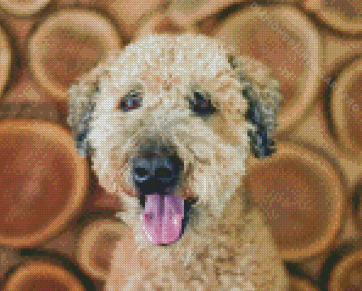 Whoodle Dog Diamond Painting