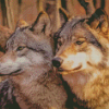 Wolf Couple Diamond Painting