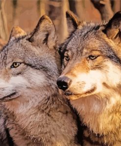 Wolf Couple Diamond Painting