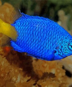 Yellow Tail Blue Damselfish Diamond Painting