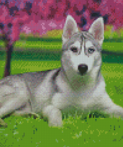 Aesthetic Husky Bicolored Eyes Diamond Painting