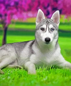 Aesthetic Husky Bicolored Eyes Diamond Painting