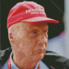 Aesthetic Niki Lauda Diamond Painting