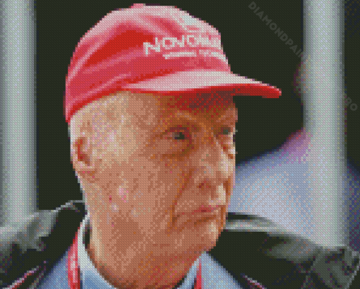 Aesthetic Niki Lauda Diamond Painting