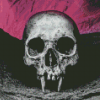 Aesthetic Vampire Skull Diamond Painting