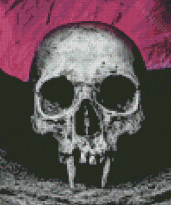 Aesthetic Vampire Skull Diamond Painting