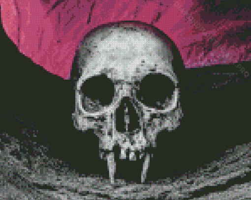 Aesthetic Vampire Skull Diamond Painting