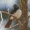 Aesthetic Willy Wagtail Bird Diamond Painting