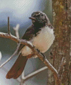 Aesthetic Willy Wagtail Bird Diamond Painting