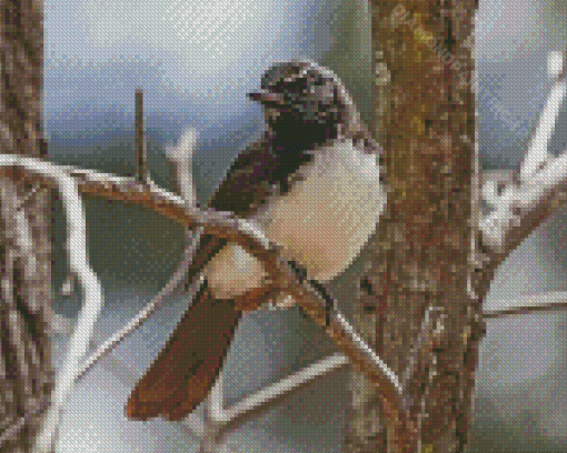 Aesthetic Willy Wagtail Bird Diamond Painting