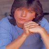 Aesthetic David Cassidy Diamond Painting