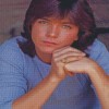 Aesthetic David Cassidy Diamond Painting