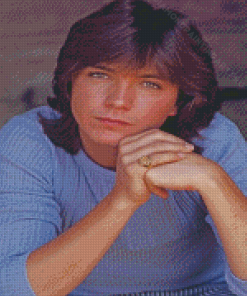 Aesthetic David Cassidy Diamond Painting