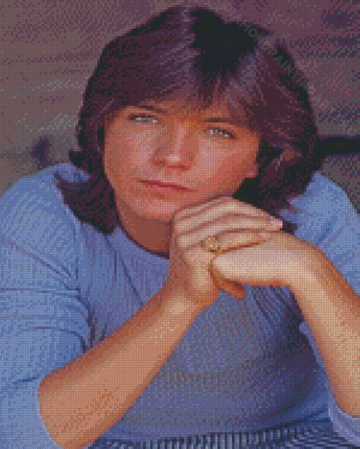 Aesthetic David Cassidy Diamond Painting