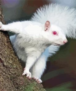 Albino Squirrels With Red eyes Diamond Painting