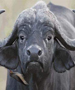 Black Buffalo Diamond Painting