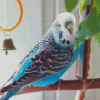 Blue Parakeet Budgie Bird Diamond Painting