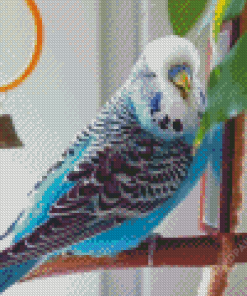 Blue Parakeet Budgie Bird Diamond Painting