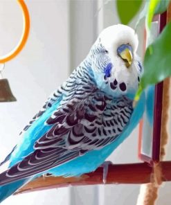 Blue Parakeet Budgie Bird Diamond Painting