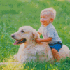 Boy On Labrador Retriever Diamond Painting