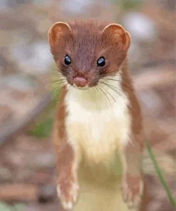 Brown Ermine Diamond Painting