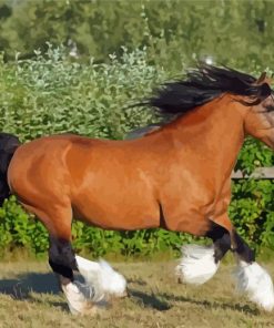 Brown Gypsy Vanner Horse Diamond Painting