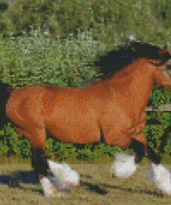 Brown Gypsy Vanner Horse Diamond Painting