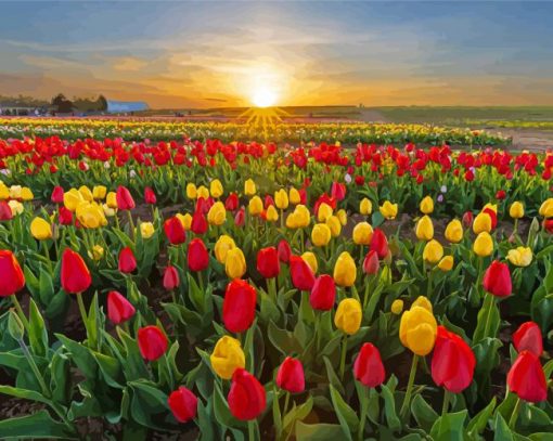 Colorful Tulips In Field Diamond Painting