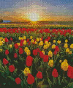 Colorful Tulips In Field Diamond Painting