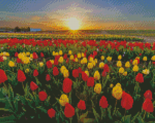 Colorful Tulips In Field Diamond Painting