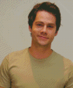 Cool Dylan O Brien Diamond Painting