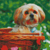 Cute Lhasa Apso Diamond Painting