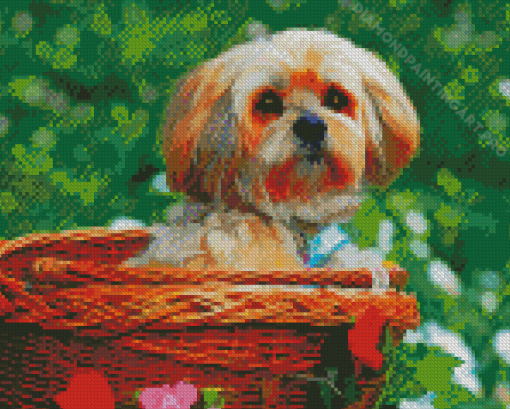 Cute Lhasa Apso Diamond Painting