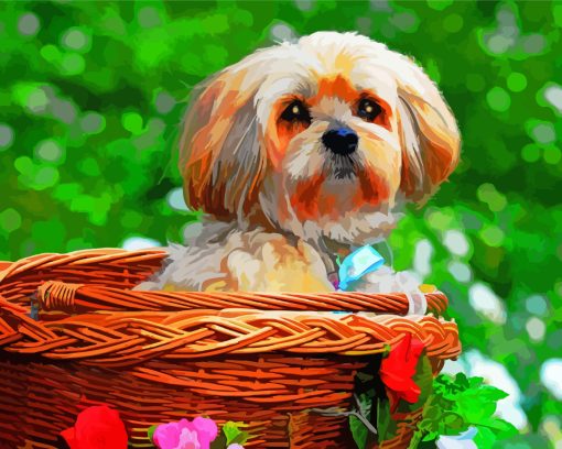 Cute Lhasa Apso Diamond Painting