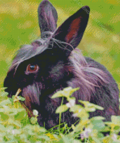 Cute Black Bunny Diamond Painting