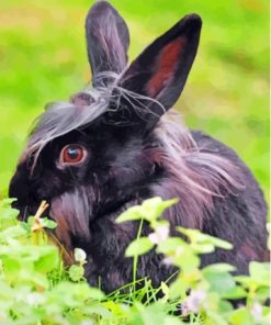 Cute Black Bunny Diamond Painting