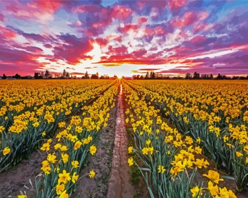 Daffodils Field At Sunset Diamond Painting