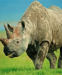 Rhinos Animal Diamond Painting