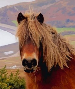 Exmoor Pony Diamond Painting